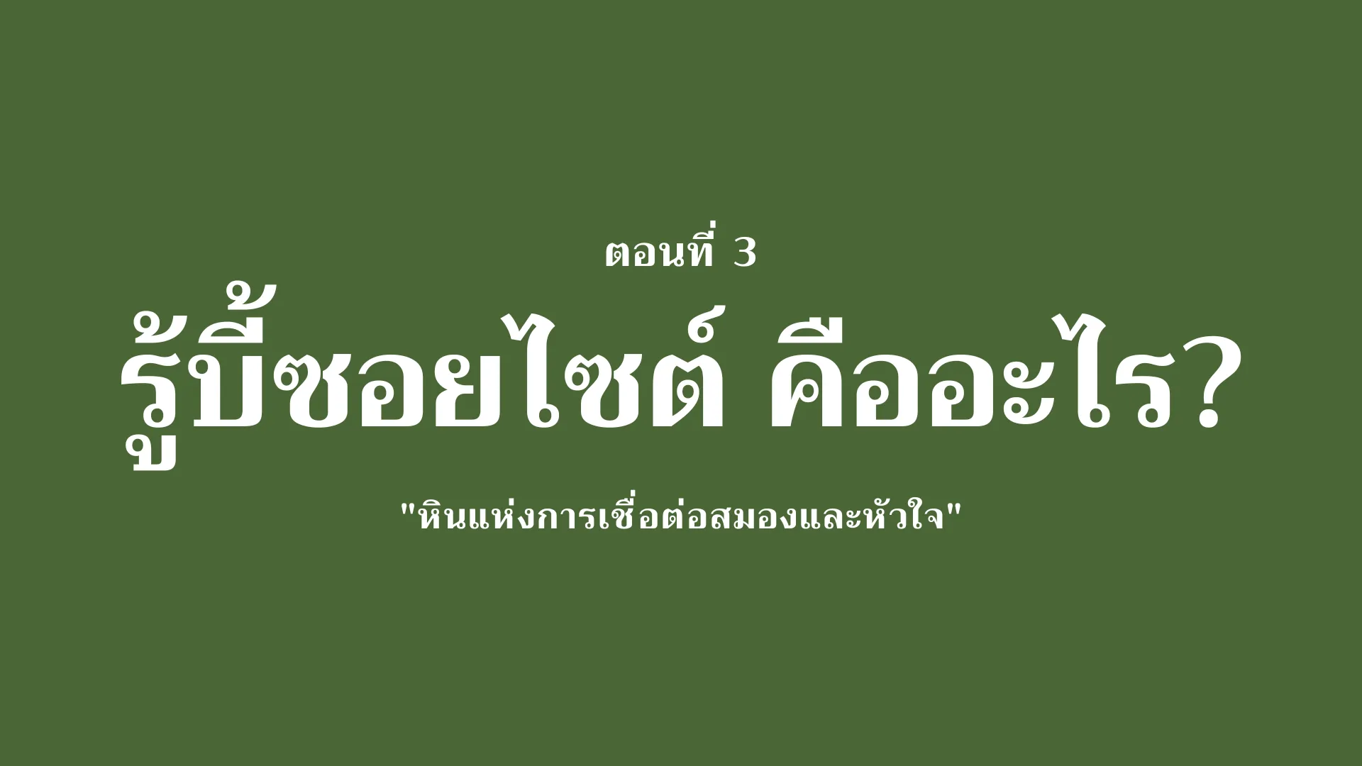 รู้บี้ซอยไซต์ (Ruby In Zoisite) คืออะไร?