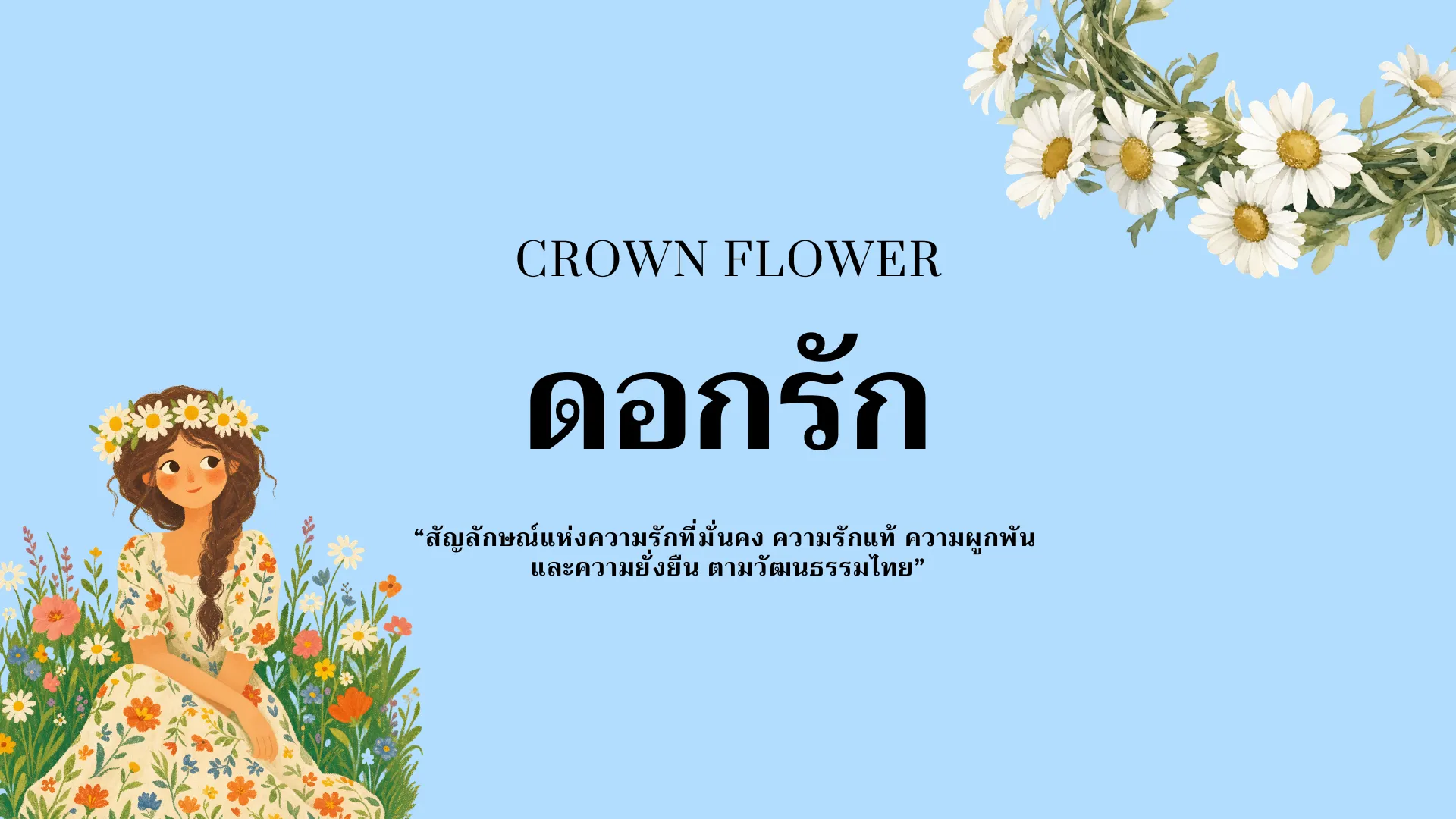 ดอกรัก - Crown Flower
